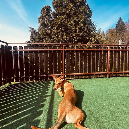 Willa Karolinka Stroza - Pet Friendly Myślenice Buitenkant foto