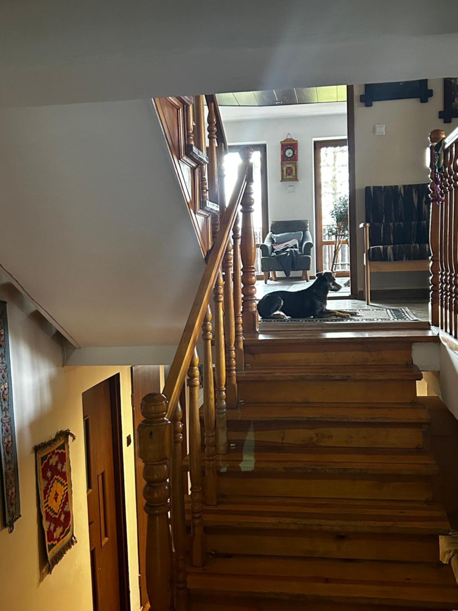 Willa Karolinka Stroza - Pet Friendly Myślenice Buitenkant foto